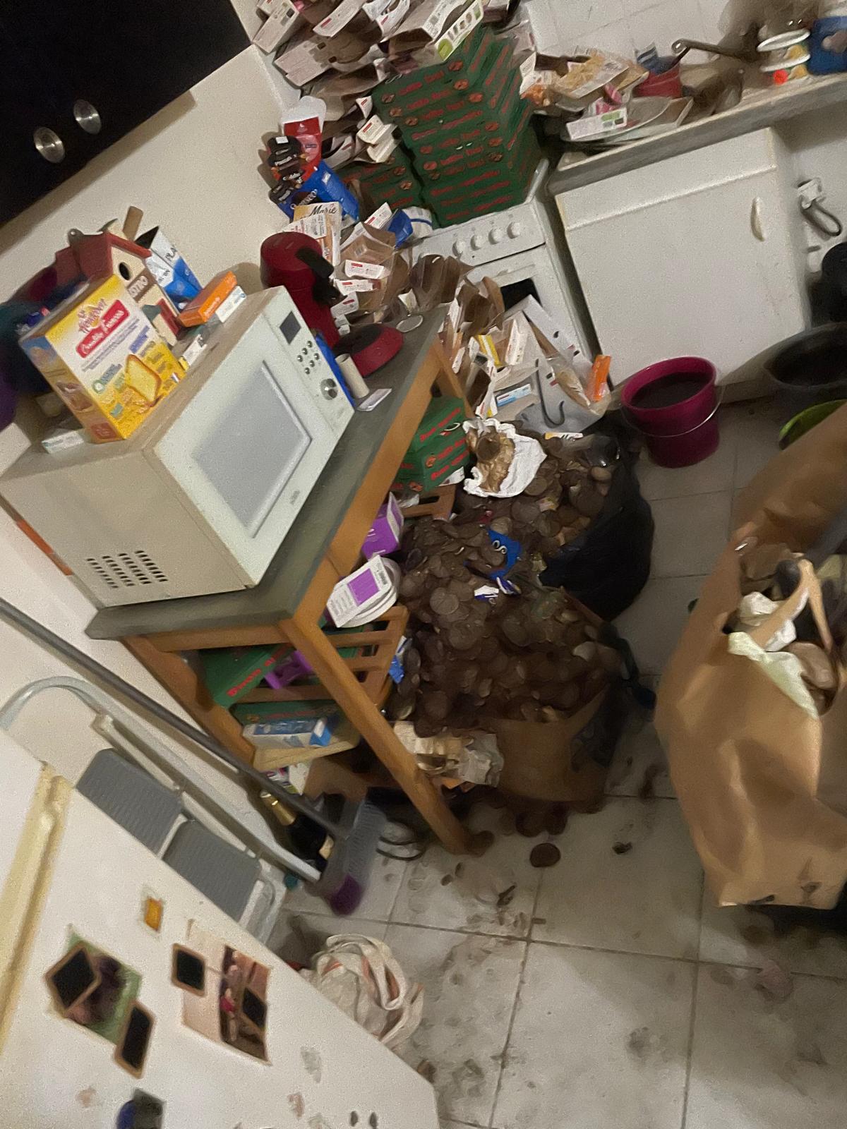 IMG 20241126 WA0045 1